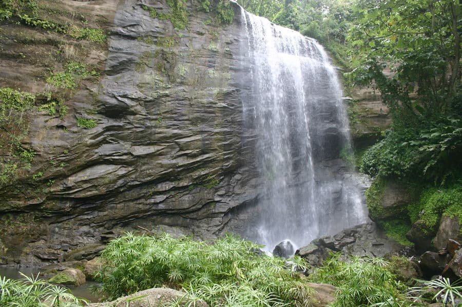 carmel waterfall grenada