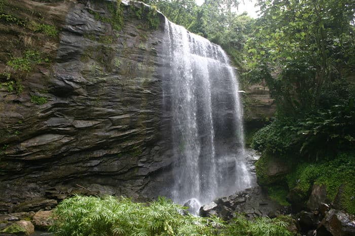 Grenada tours waterfall