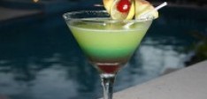 Angostura Cocktail Challenge – 18th June 2011