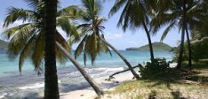 10 Things to Know About Sandy Island in Grenada