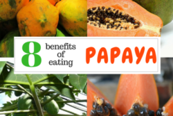 8 Reasons You Should Be Eating Papaya