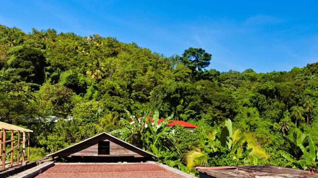 Grenada's historical landmarks - Belmont Estate